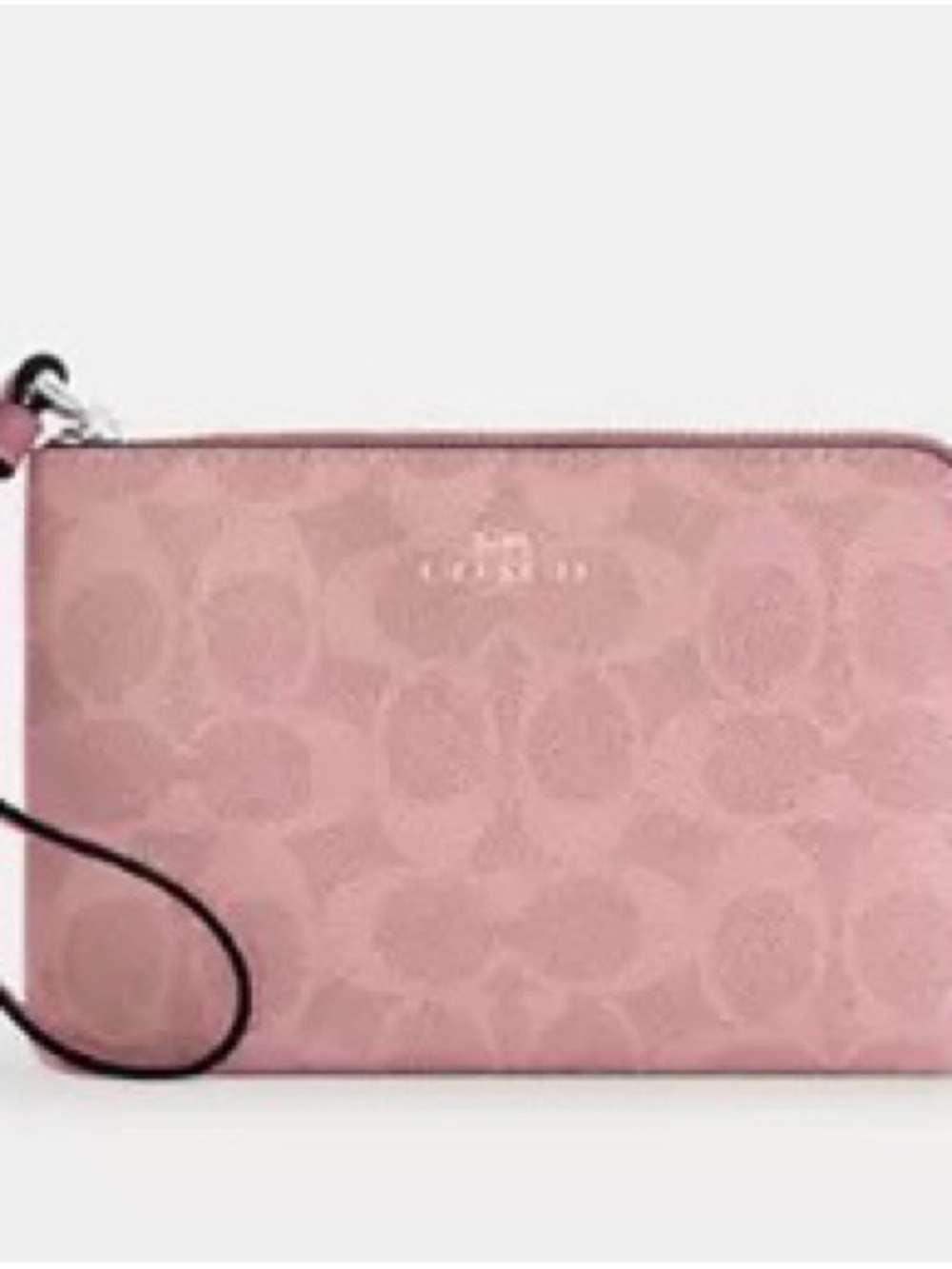 Corner Zip Wristlet In Signature Canvas